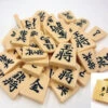 Pièces De Shogi Résine En Boite