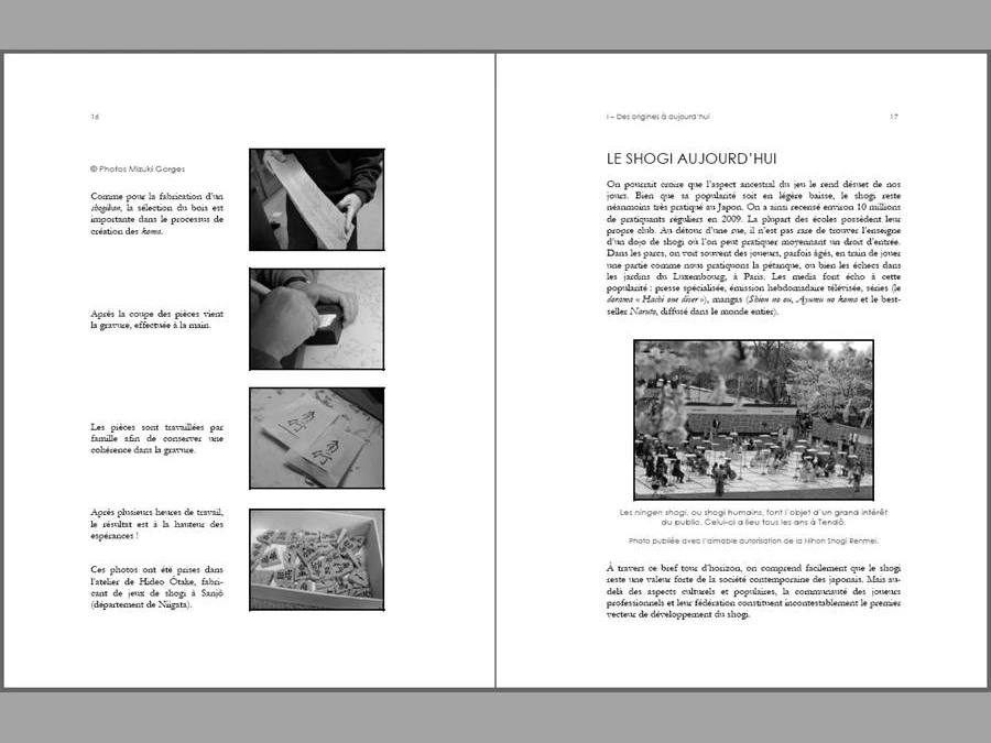 Shogi, L'art Des échecs Japonais – Image 4