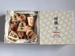 Pièces De Shogi D'initiation Avec Flèches