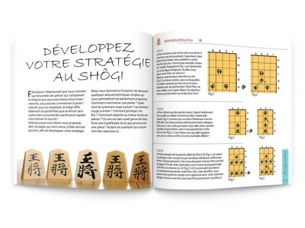 Livre "Shogi, Initiation Aux échecs Japonais" 2nde édition – Image 4