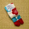 Chaussettes Tabi Fleurs De Prunier 23-25cm